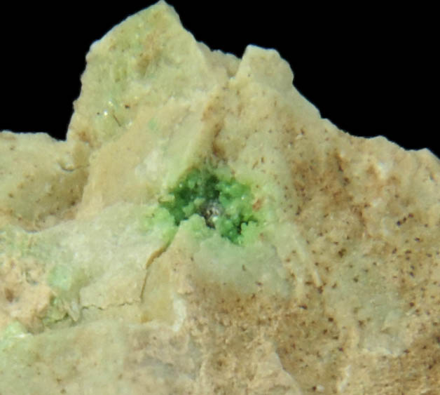 Uvarovite Garnet and Tremolite on Diopside from Fengtien Mine, Conc. S., 5 kilometers west of Fengtien village, Hualien, Taiwan