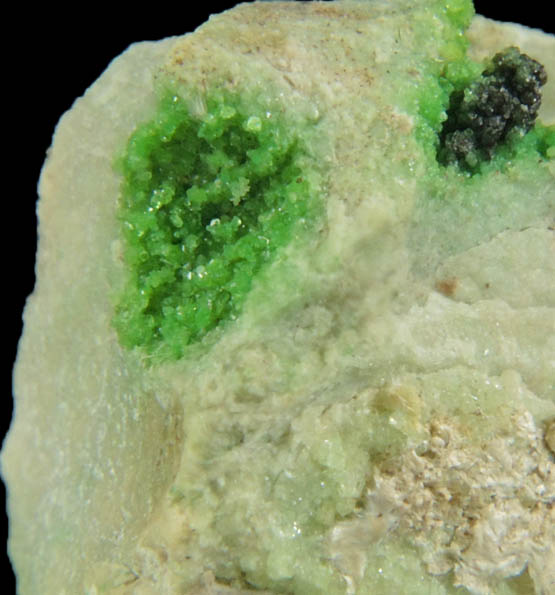 Uvarovite Garnet plus Diopside and Tremolite from Fengtien Mine, Conc. S., 5 kilometers west of Fengtien village, Hualien, Taiwan