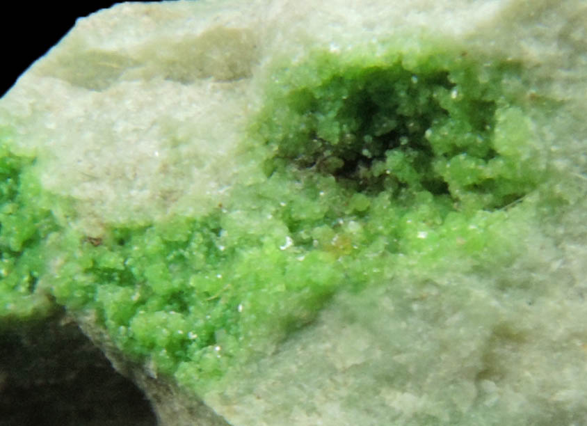 Uvarovite Garnet with minor Tremolite from Fengtien Mine, Conc. S., 5 kilometers west of Fengtien village, Hualien, Taiwan