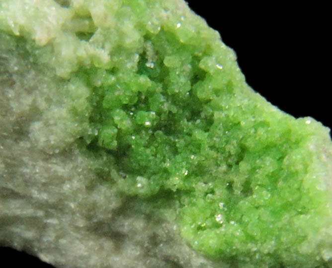 Diopside (chrome-rich) with Uvarovite Garnet from Fengtien Mine, Conc. S., 5 kilometers west of Fengtien village, Hualien, Taiwan