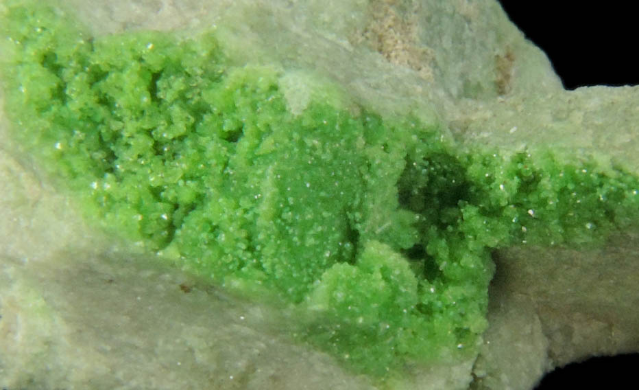 Uvarovite Garnet with minor Tremolite from Fengtien Mine, Conc. S., 5 kilometers west of Fengtien village, Hualien, Taiwan