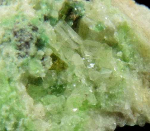 Diopside (chrome-rich) with Uvarovite Garnet with Chromite cores from Fengtien Mine, Conc. S., 5 kilometers west of Fengtien village, Hualien, Taiwan