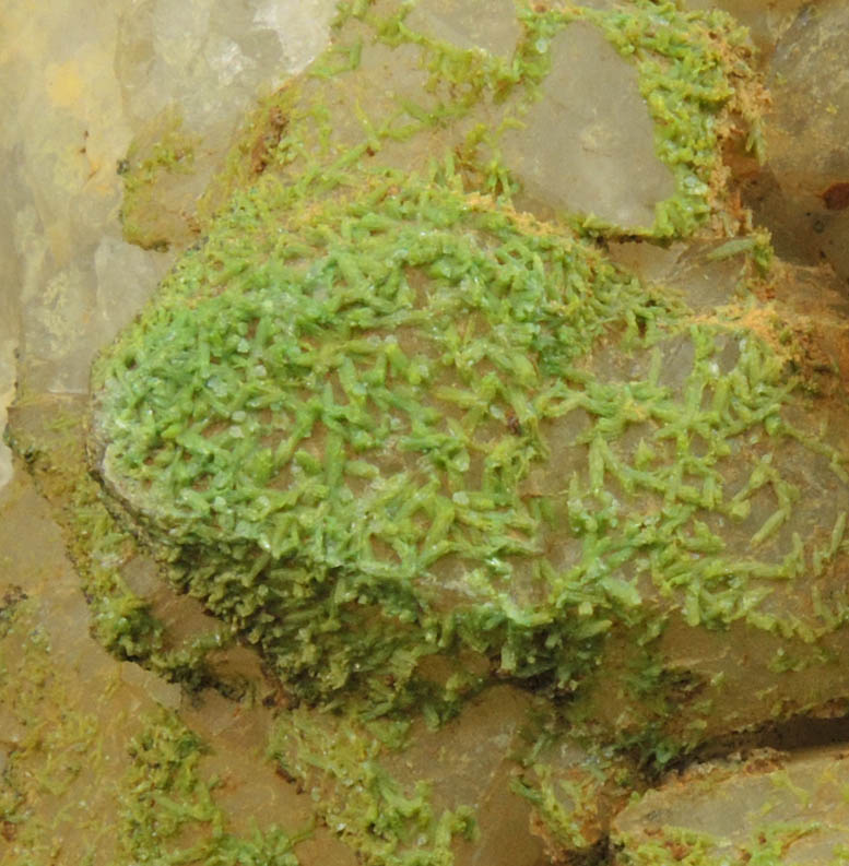 Pyromorphite over Quartz from Sarrowcole Vein, Laverock Hall, Leadhills, South Lanarkshire, Strathclyde, Scotland