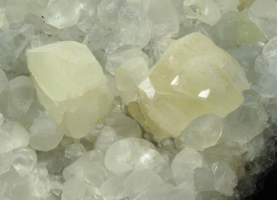 Datolite on Calcite over Prehnite from Prospect Park Quarry, Prospect Park, Passaic County, New Jersey