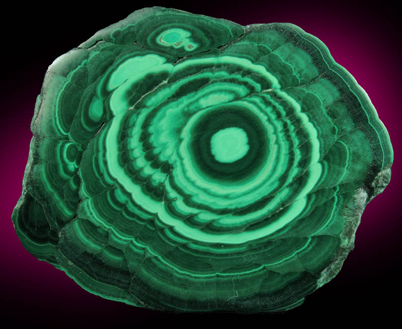 Malachite (polished slice of concentric-growth malachite) from Kolwezi Mining District, 240 km WNW of Lubumbashi, Katanga Copperbelt, Lualaba Province, Democratic Republic of the Congo