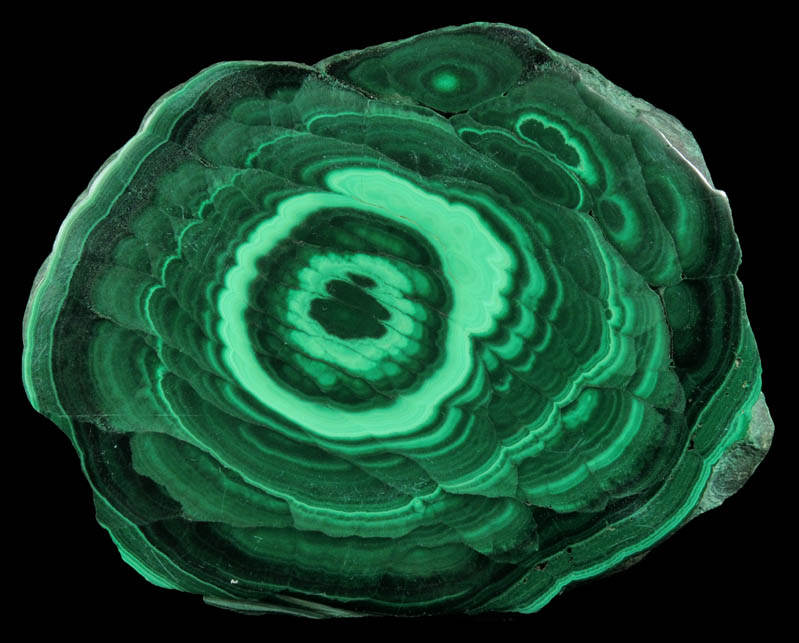 Malachite (polished slice of concentric-growth malachite) from Kolwezi Mining District, 240 km WNW of  Lubumbashi, Katanga Copperbelt, Lualaba Province, Democratic Republic of the Congo