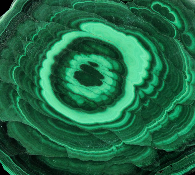 Malachite (polished slice of concentric-growth malachite) from Kolwezi Mining District, 240 km WNW of Lubumbashi, Katanga Copperbelt, Lualaba Province, Democratic Republic of the Congo
