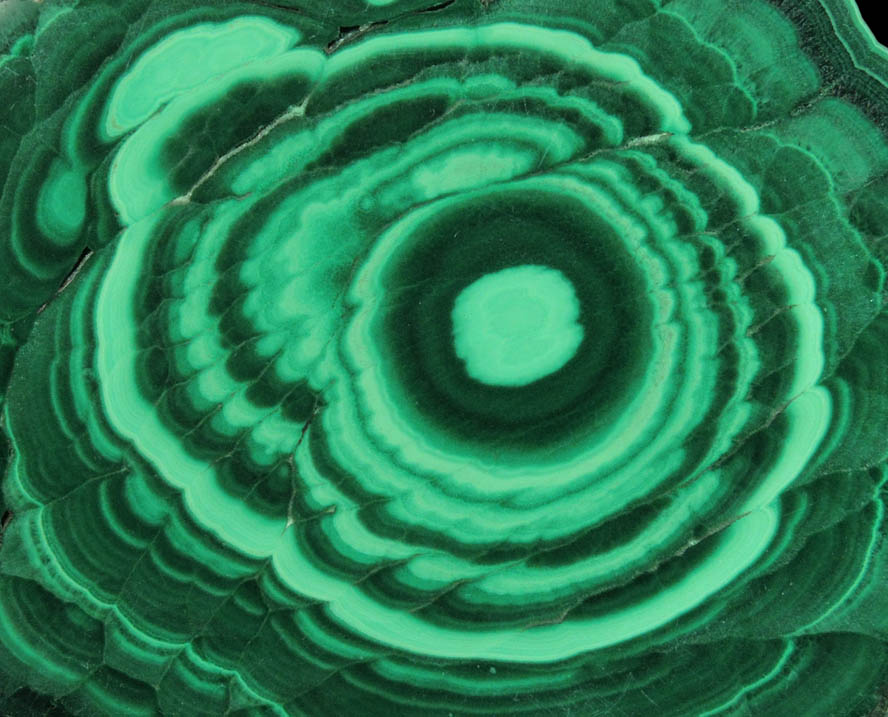 Malachite (polished slice of concentric-growth malachite) from Kolwezi Mining District, 240 km WNW of Lubumbashi, Katanga Copperbelt, Lualaba Province, Democratic Republic of the Congo