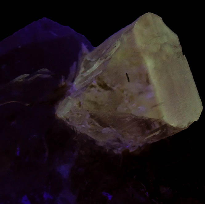 Photo below under shortwave ultraviolet illumination of Topaz on Quartz from Shengus, Skardu Road, Baltistan, Gilgit-Baltistan, Pakistan Topaz on Quartz from Shengus, Skardu Road, Baltistan, Gilgit-Baltistan, Pakistan