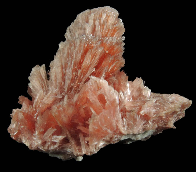 Inesite from N'Chwaning II Mine, Kalahari Manganese Field, Northern Cape Province, South Africa