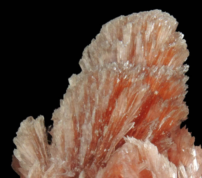 Inesite from N'Chwaning II Mine, Kalahari Manganese Field, Northern Cape Province, South Africa