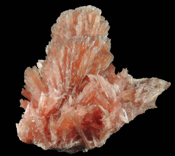 Inesite from N'Chwaning II Mine, Kalahari Manganese Field, Northern Cape Province, South Africa