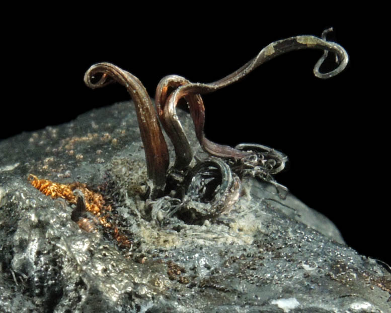 Silver (wire-habit native silver) on Acanthite from Xiaoqinggou, Datong, Shanxi, China