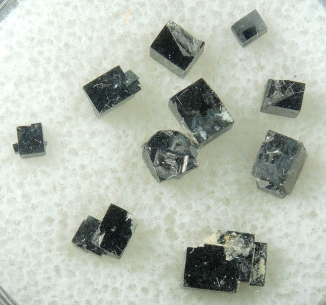 Magnetite exhibiting rare cubic habit (set of 10 crystals) from ZCA Mine No. 4, Fowler Ore Body, 2500' Level, Balmat, St. Lawrence County, New York