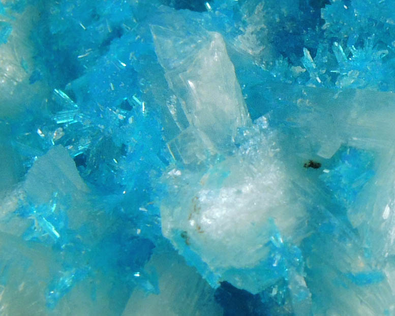 Cavansite with Stilbite-Ca from Wagholi Quarry, Maharashtra, India