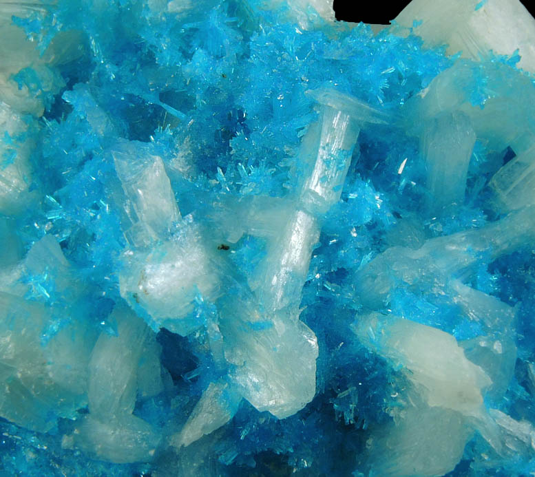 Cavansite with Stilbite-Ca from Wagholi Quarry, Maharashtra, India