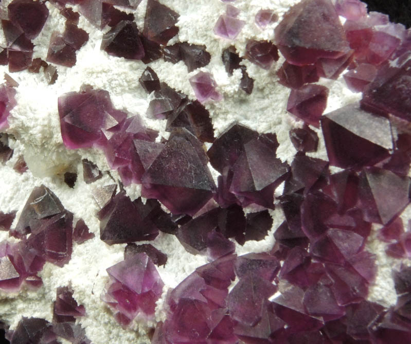 Fluorite on Quartz from Judith Lynn Claim, Pine Canyon, Grant County, New Mexico