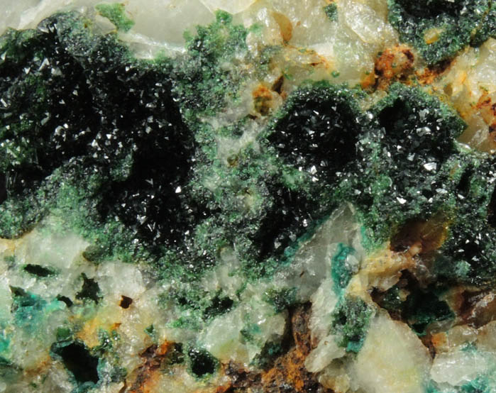Olivenite and Cornwallite on Quartz from Bawden's Shaft, Wheal Gorland, St. Day, Cornwall, England (Type Locality for Cornwallite)