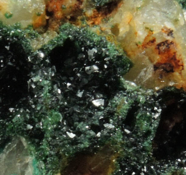 Olivenite and Cornwallite on Quartz from Bawden's Shaft, Wheal Gorland, St. Day, Cornwall, England (Type Locality for Cornwallite)