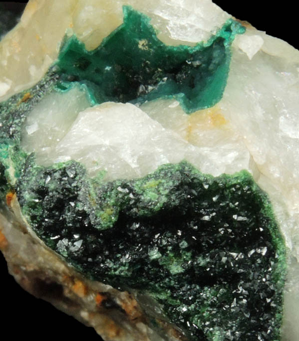 Olivenite and Cornwallite on Quartz from Bawden's Shaft, Wheal Gorland, St. Day, Cornwall, England (Type Locality for Cornwallite)