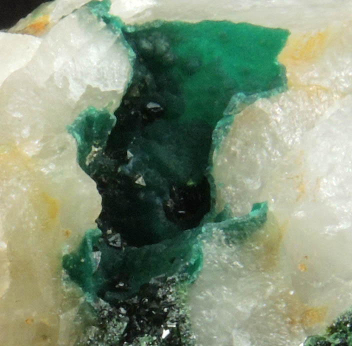Olivenite and Cornwallite on Quartz from Bawden's Shaft, Wheal Gorland, St. Day, Cornwall, England (Type Locality for Cornwallite)