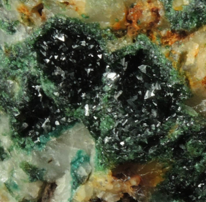 Olivenite and Cornwallite on Quartz from Bawden's Shaft, Wheal Gorland, St. Day, Cornwall, England (Type Locality for Cornwallite)