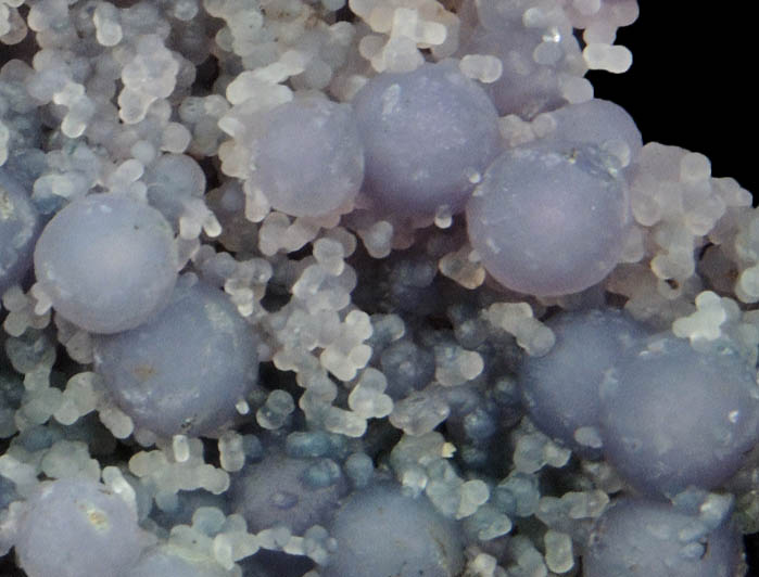 Quartz var. Grape Agate from near Pantai Manakarra, Mamuju, Sulawesi, Indonesia