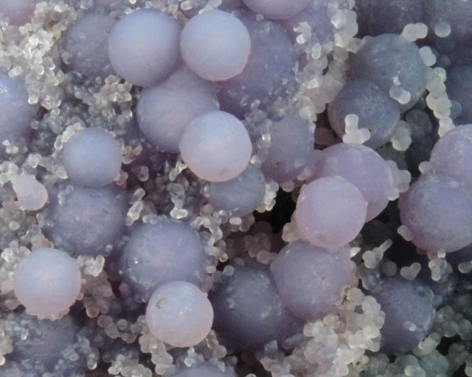 Quartz var. Grape Agate from near Pantai Manakarra, Mamuju, Sulawesi, Indonesia