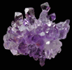 Quartz var. Amethyst Quartz (scepter-shaped crystals) from Karur, Tamil Nadu, India