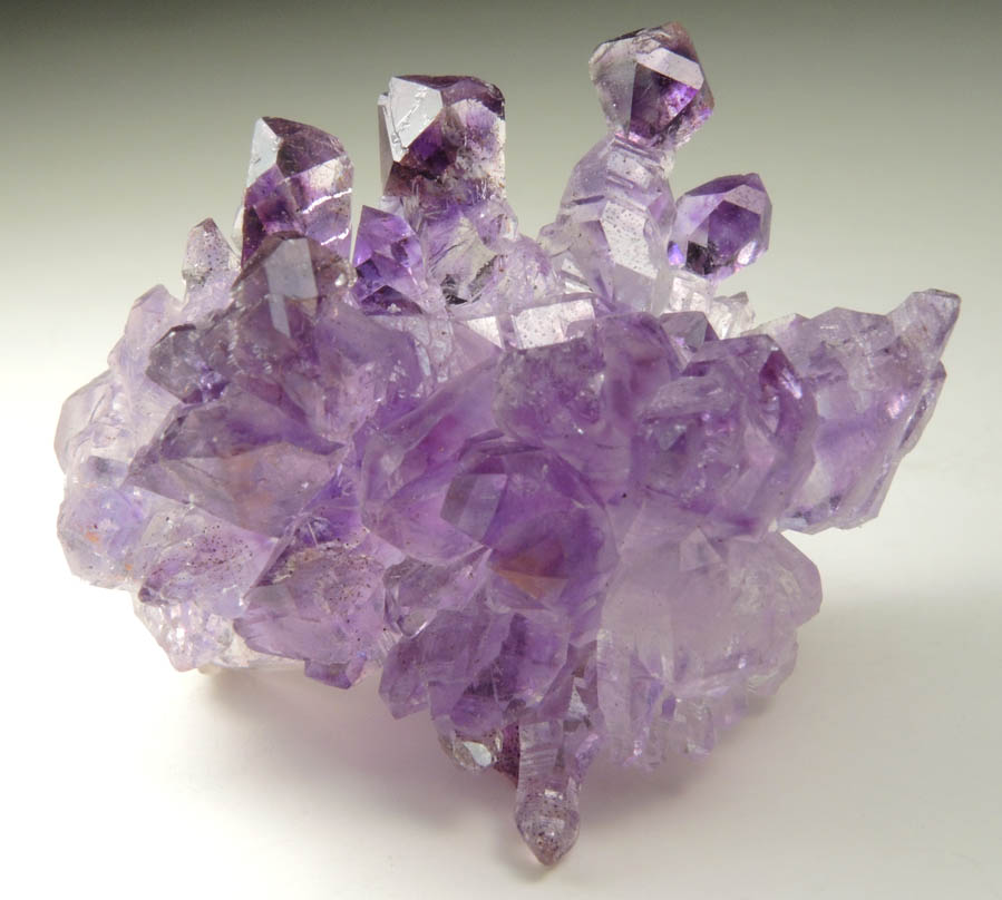 Quartz var. Amethyst Quartz (scepter-shaped crystals) from Karur, Tamil Nadu, India