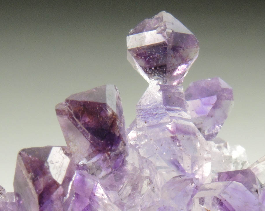 Quartz var. Amethyst Quartz (scepter-shaped crystals) from Karur, Tamil Nadu, India