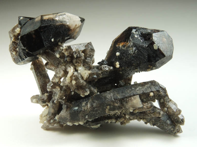 Gaidonnayite on Quartz var. Smoky Quartz (scepter-shaped crystals) from Poudrette Quarry, Mont Saint-Hilaire, Qubec, Canada