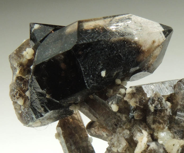Gaidonnayite on Quartz var. Smoky Quartz (scepter-shaped crystals) from Poudrette Quarry, Mont Saint-Hilaire, Qubec, Canada