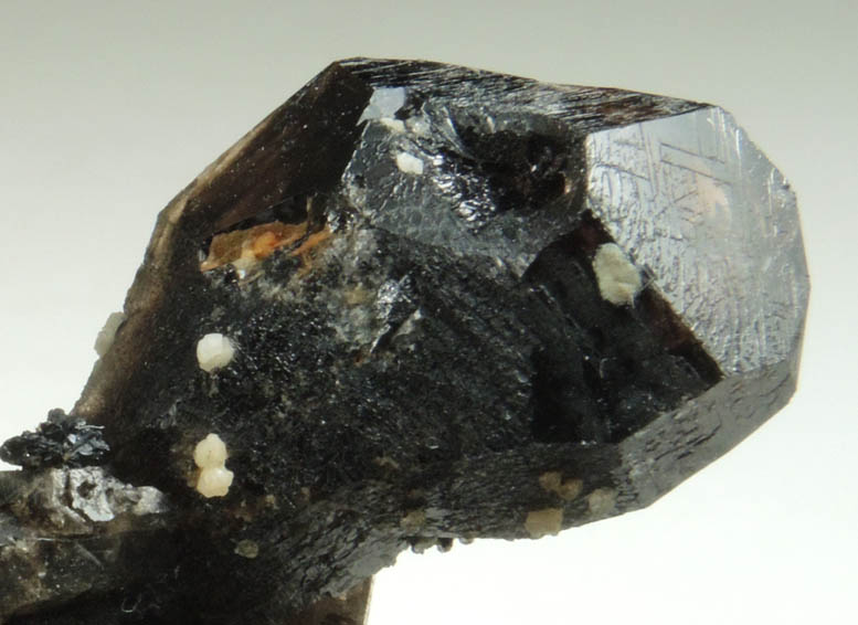 Gaidonnayite on Quartz var. Smoky Quartz (scepter-shaped crystals) from Poudrette Quarry, Mont Saint-Hilaire, Qubec, Canada