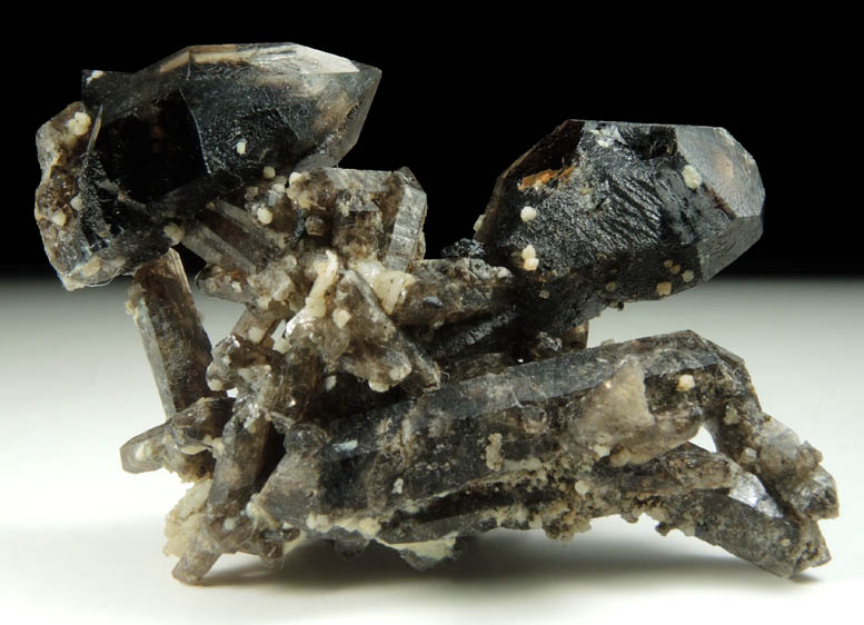 Gaidonnayite on Quartz var. Smoky Quartz (scepter-shaped crystals) from Poudrette Quarry, Mont Saint-Hilaire, Qubec, Canada