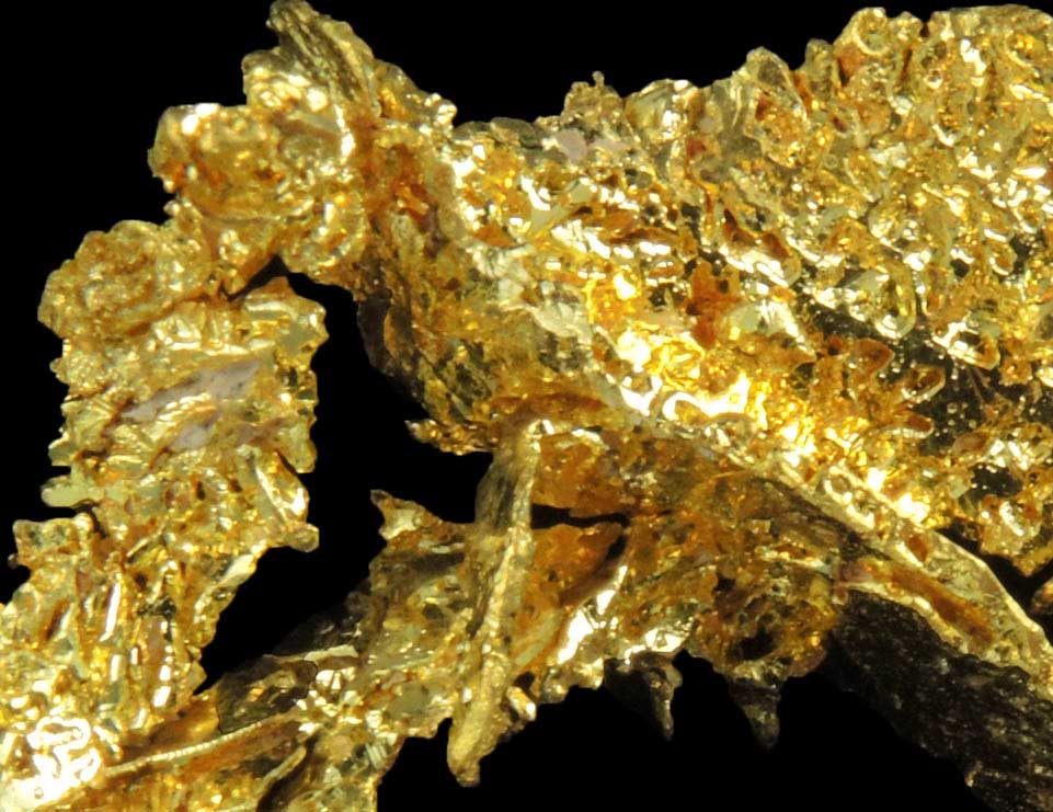 Gold from Red Ledge Mine, Washington District, Nevada County, California