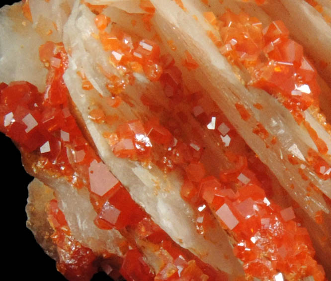 Vanadinite on Barite from Mibladen, Haute Moulouya Basin, Zeida-Aouli-Mibladen belt, Midelt Province, Morocco