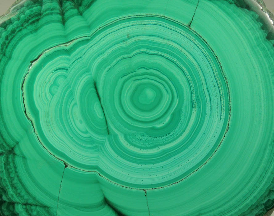 Malachite (polished slice of concentric-growth malachite stalactite) from Kolwezi Mining District, 240 km WNW of Lubumbashi, Katanga Copperbelt, Lualaba Province, Democratic Republic of the Congo