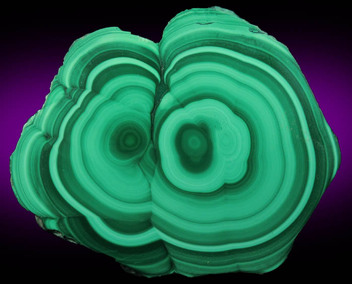 Malachite (polished slice of concentric-growth malachite) from Kolwezi Mining District, 240 km WNW of  Lubumbashi, Katanga Copperbelt, Lualaba Province, Democratic Republic of the Congo