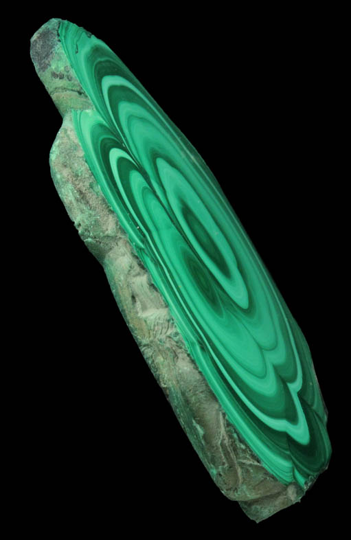 Malachite (polished slice of concentric-growth malachite) from Kolwezi Mining District, 240 km WNW of  Lubumbashi, Katanga Copperbelt, Lualaba Province, Democratic Republic of the Congo