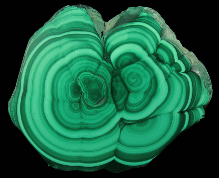 Malachite (polished slice of concentric-growth malachite) from Kolwezi Mining District, 240 km WNW of  Lubumbashi, Katanga Copperbelt, Lualaba Province, Democratic Republic of the Congo
