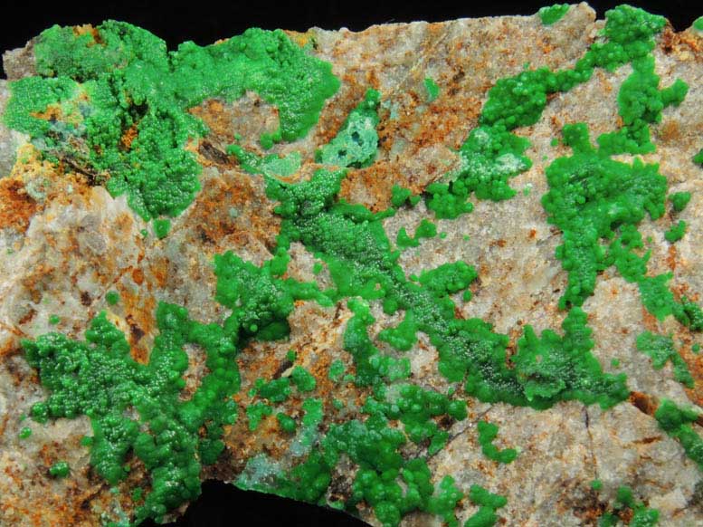 Conichalcite from Gold Hill Mine, Toole County, Utah