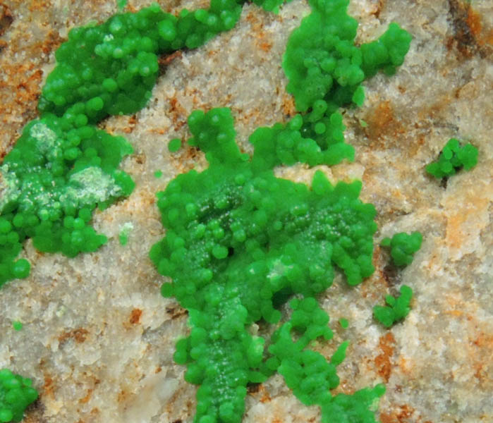 Conichalcite from Gold Hill Mine, Toole County, Utah