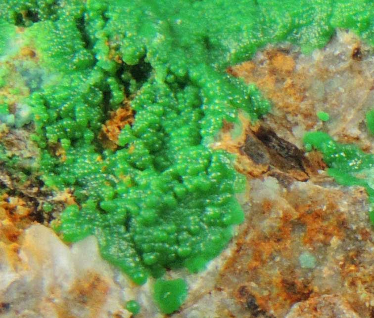 Conichalcite from Gold Hill Mine, Toole County, Utah