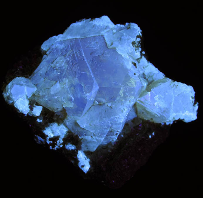 Photo below under shortwave ultraviolet illumination of Scheelite on Muscovite with Cassiterite from Xuebaoding Mountain, near Pingwu, Sichuan Province, China Scheelite on Muscovite with Cassiterite from Xuebaoding Mountain, near Pingwu, Sichuan Province, China