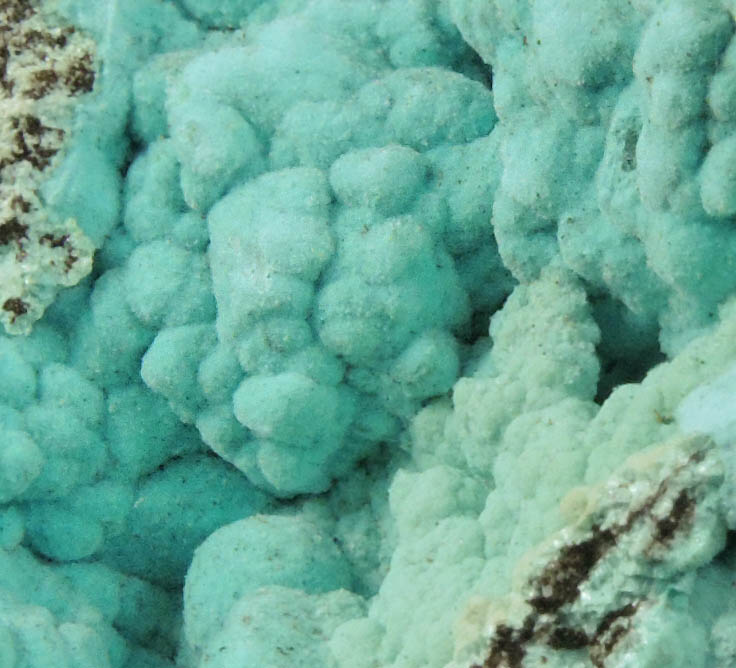 Rosasite over Chrysocolla and Aurichalcite from Silver Bill Mine, Courtland-Gleeson District, Cochise County, Arizona