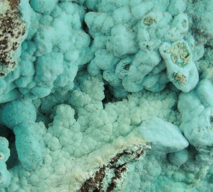 Rosasite over Chrysocolla and Aurichalcite from Silver Bill Mine, Courtland-Gleeson District, Cochise County, Arizona