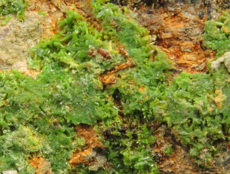 Pyromorphite over Quartz from Wheatley Mine, Phoenixville District, Chester County, Pennsylvania