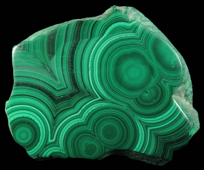 Malachite (polished slice of concentric growth malachite) from Kolwezi Mining District, 240 km WNW of  Lubumbashi, Katanga Copperbelt, Lualaba Province, Democratic Republic of the Congo