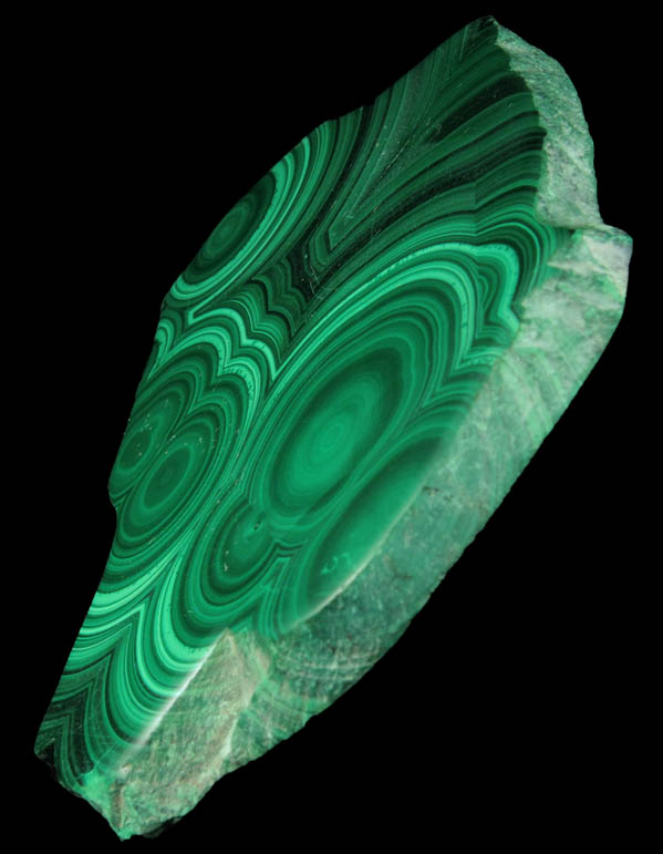 Malachite (polished slice of concentric growth malachite) from Kolwezi Mining District, 240 km WNW of  Lubumbashi, Katanga Copperbelt, Lualaba Province, Democratic Republic of the Congo